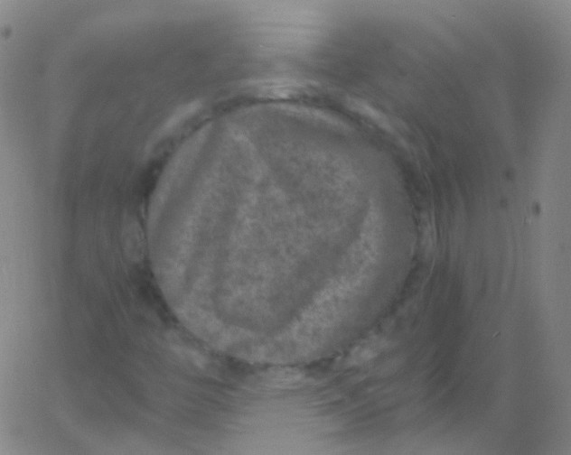 X0000061761446200512231539