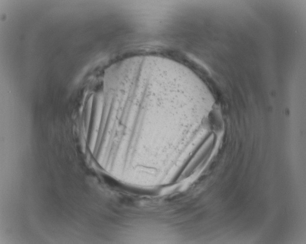 X0000061761447200512231539