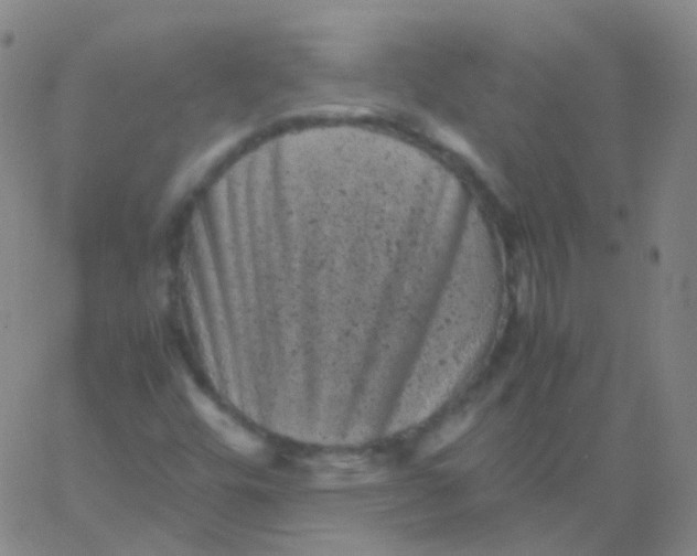 X0000061761448200512231539