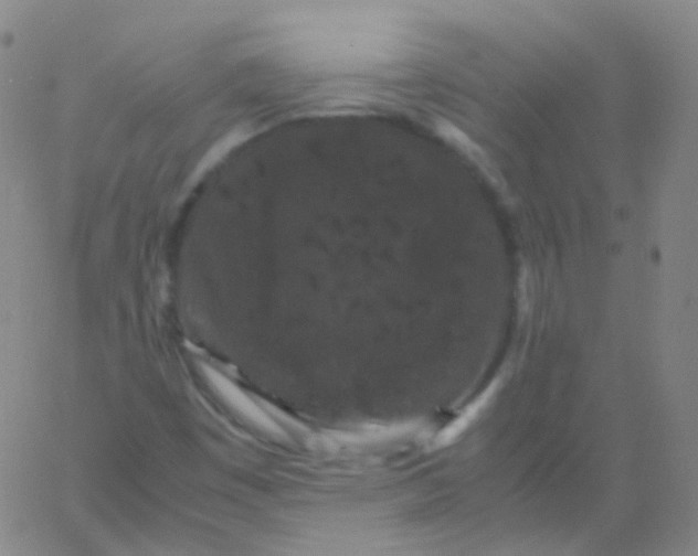 X0000061761449200512231539