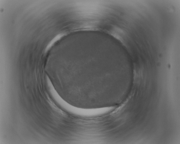 X0000061761450200512231539