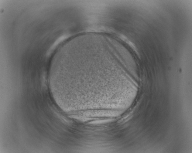 X0000061761454200512231539