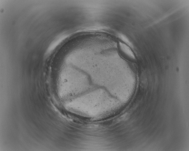 X0000061761456200512231539