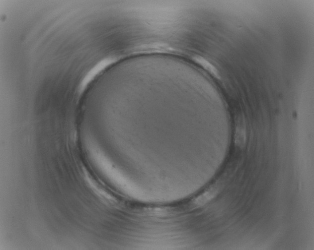 X0000061761458200512231539