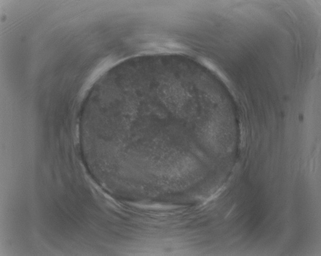 X0000061761459200512231539