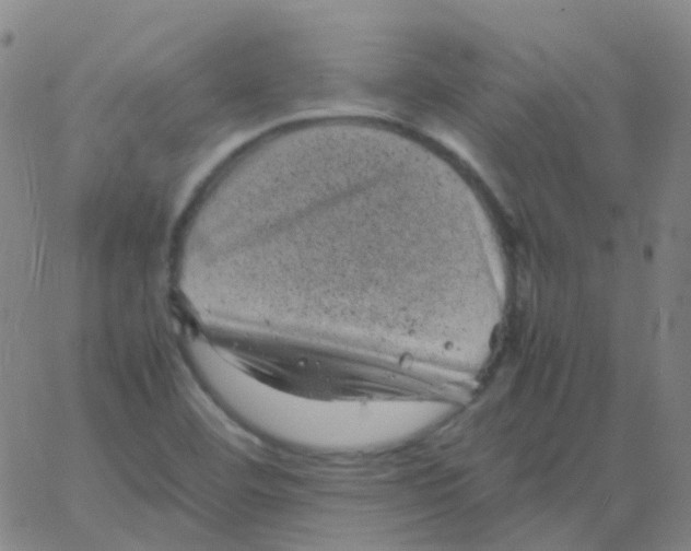 X0000061761460200512231539