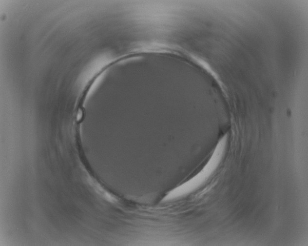 X0000061761463200512231538