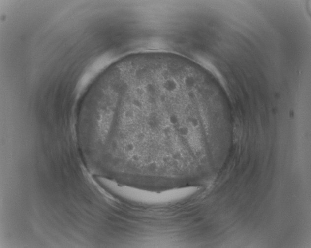 X0000061761464200512231538