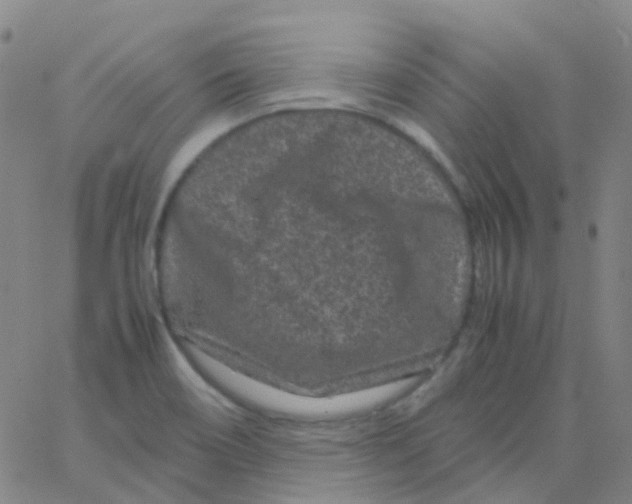 X0000061761466200512231538