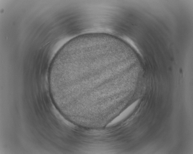 X0000061761468200512231538