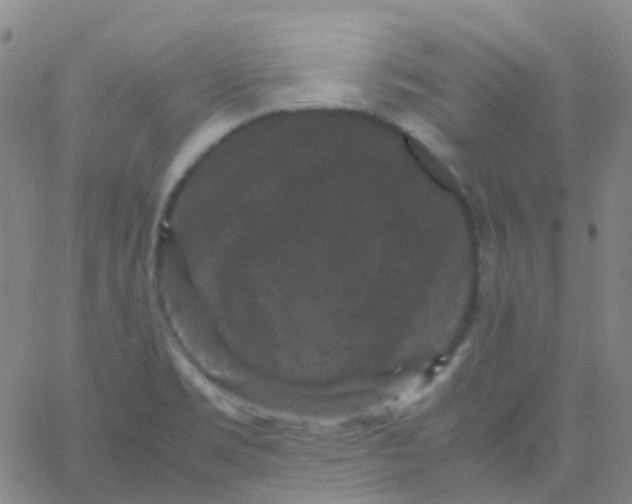 X0000061761469200512231538