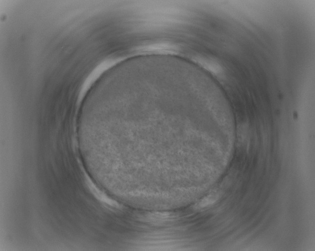 X0000061761470200512231538