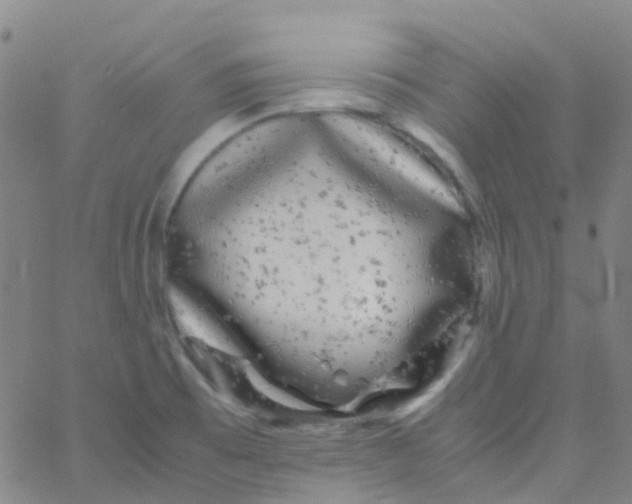 X0000061761473200512231538