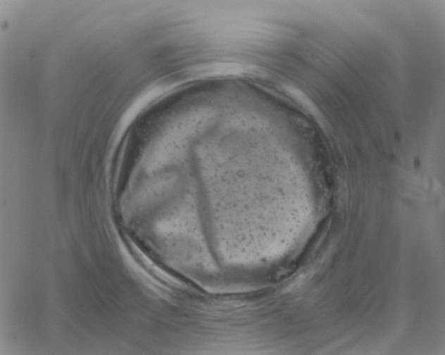 X0000061761475200512231538