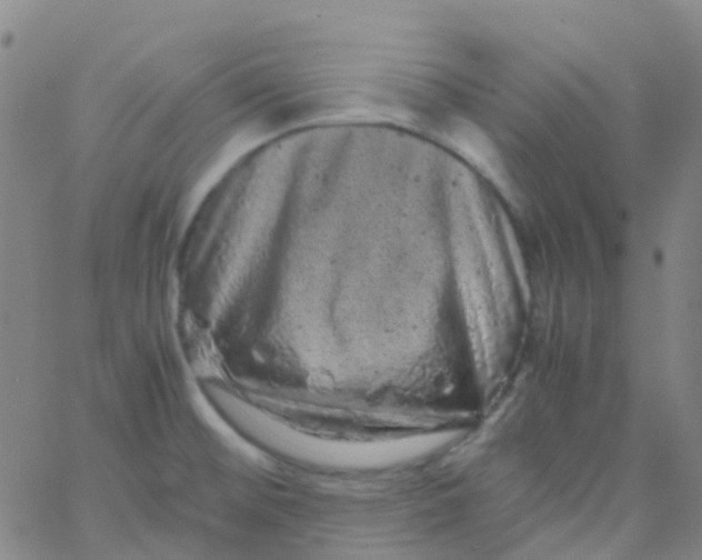 X0000061761476200512231538