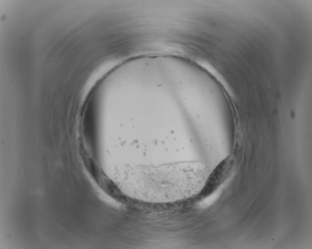 X0000061761477200512231538