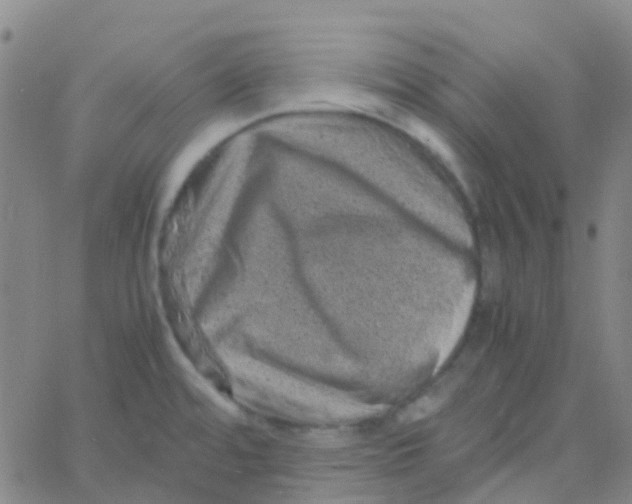 X0000061761480200512231538