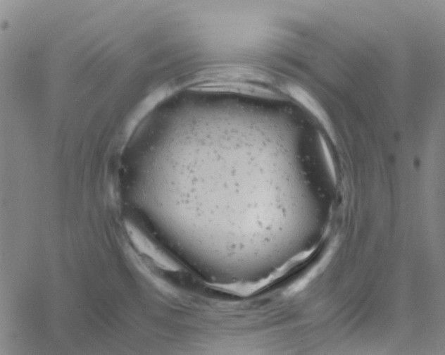 X0000061761481200512231538