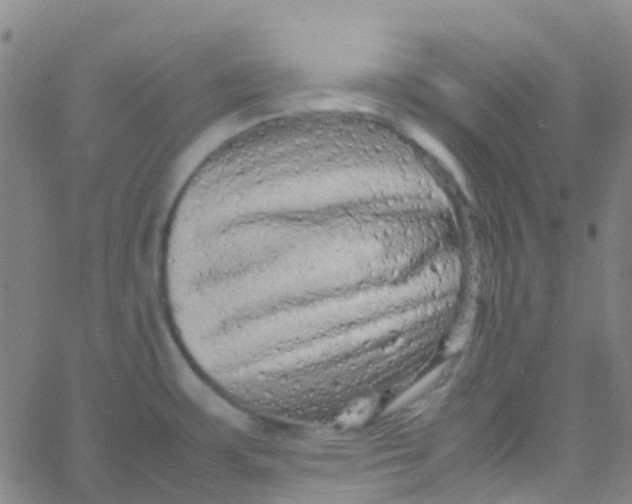 X0000061761483200512231538