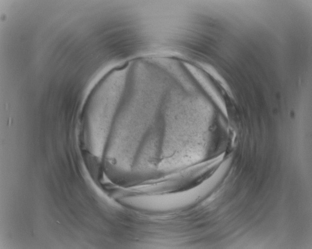 X0000061761484200512231538