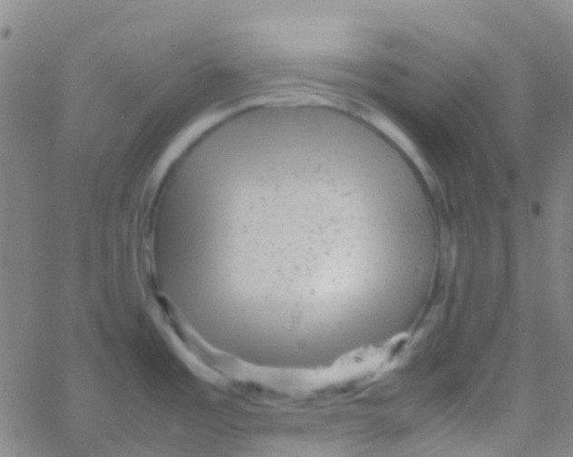 X0000061761485200512231538