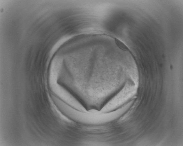 X0000061761486200512231538