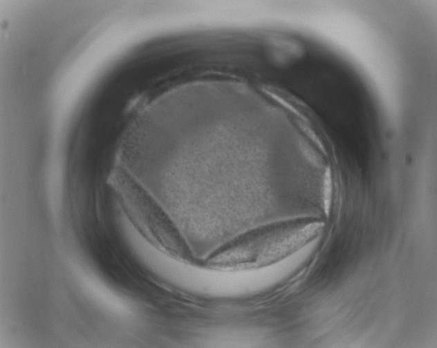 X0000061761487200512231538