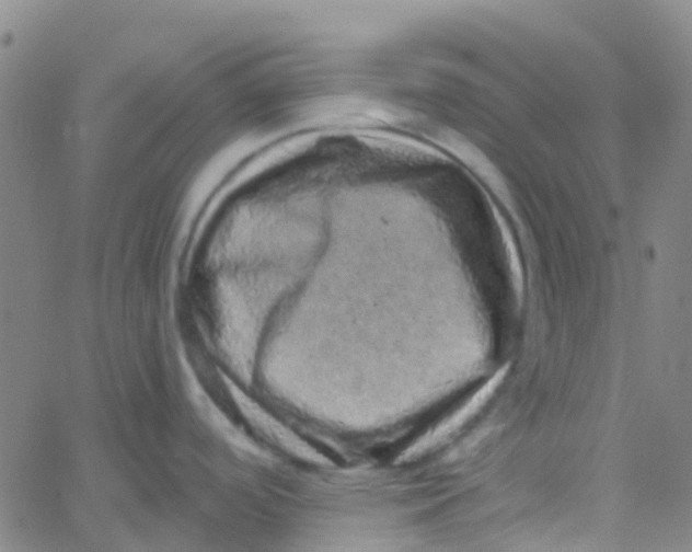 X0000061761488200512231538