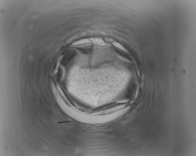 X0000061761490200512231537