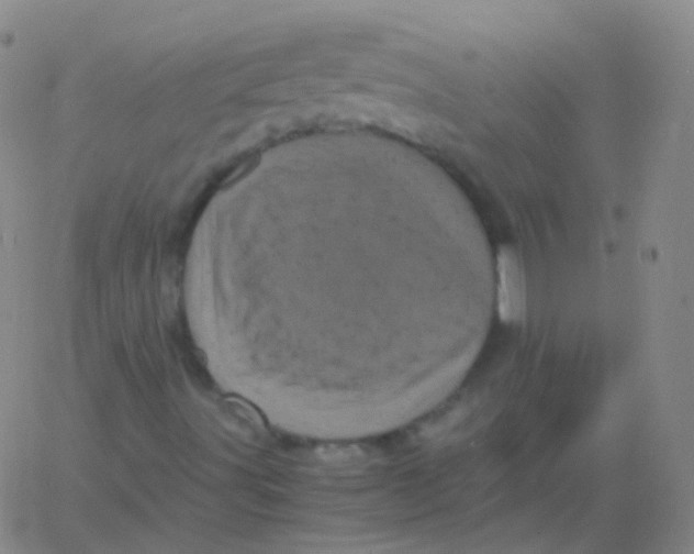 X0000061761491200512231537