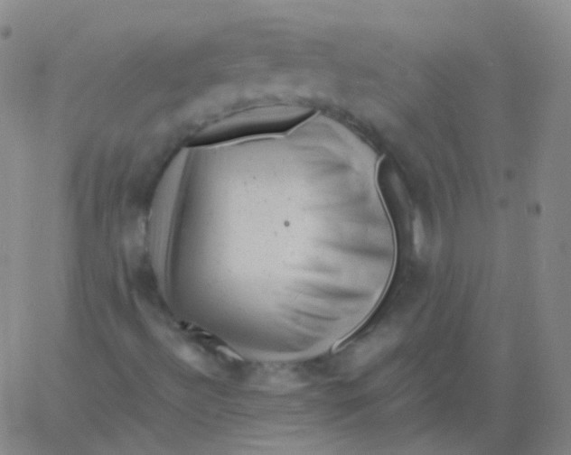 X0000061761492200512231537