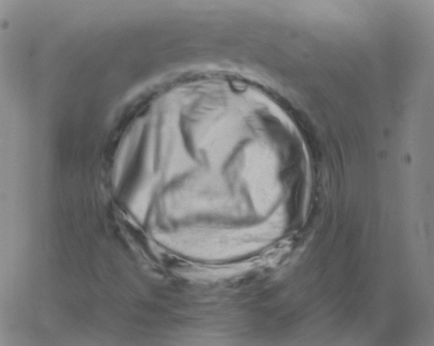 X0000061761494200512231537