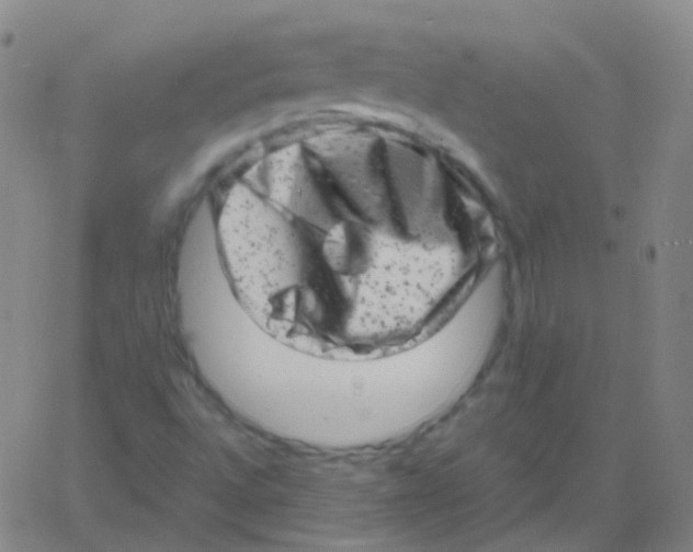 X0000061761496200512231537