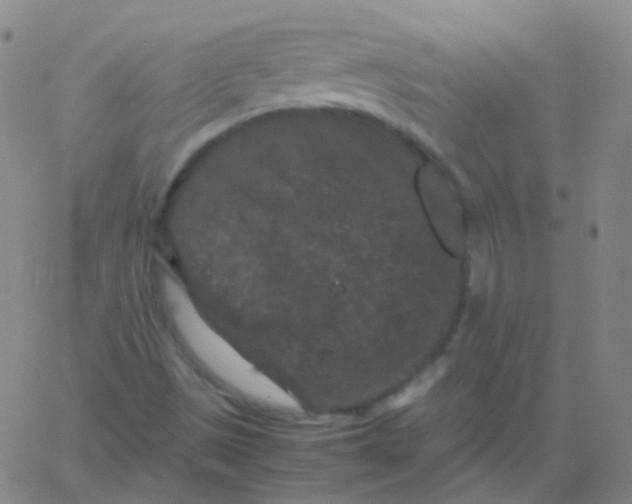 X0000061761497200512231537