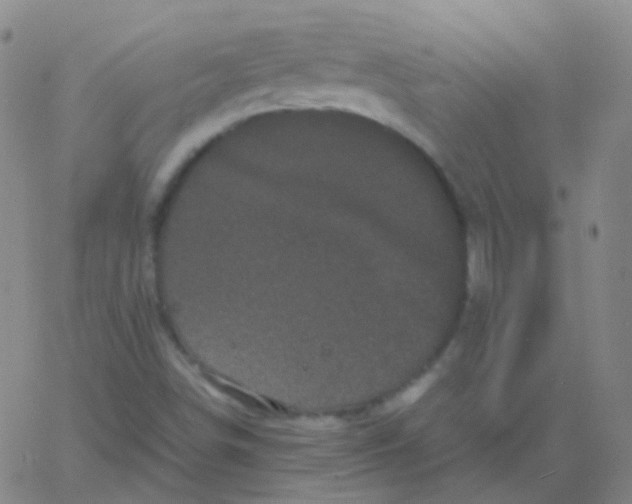 X0000061761498200512231537