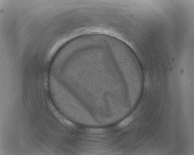 X0000061761499200512231537