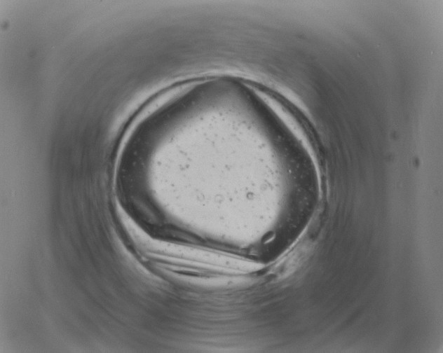 X0000061761500200512231537