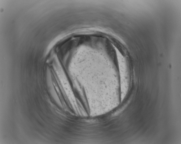 X0000061761501200512231537