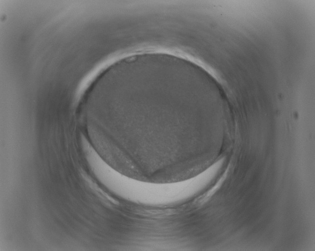 X0000061761502200512231537