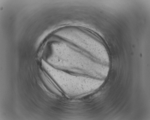 X0000061761503200512231537