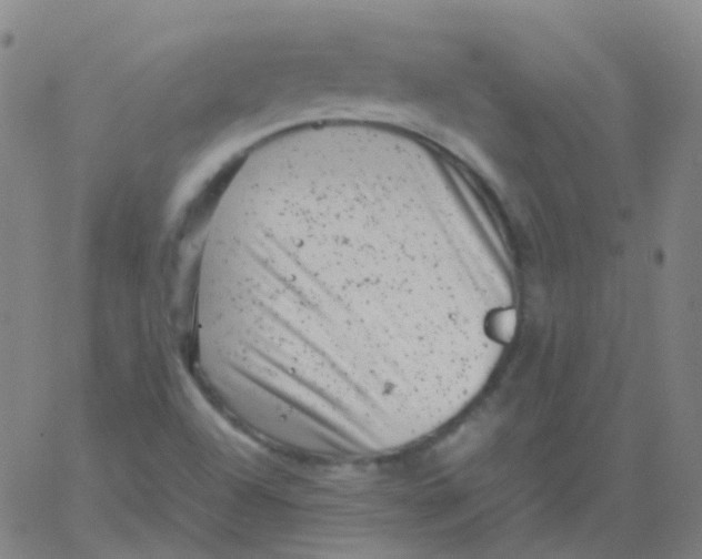 X0000061761504200512231538