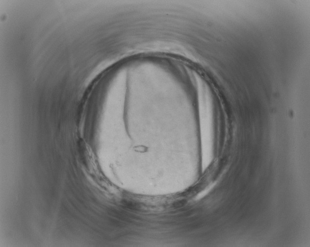 X0000061761505200512231538