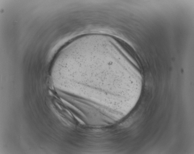 X0000061761507200512231538