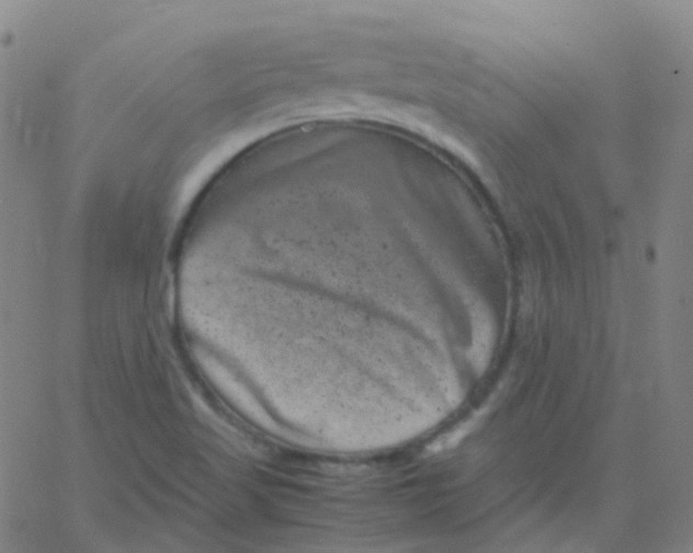 X0000061761509200512231538