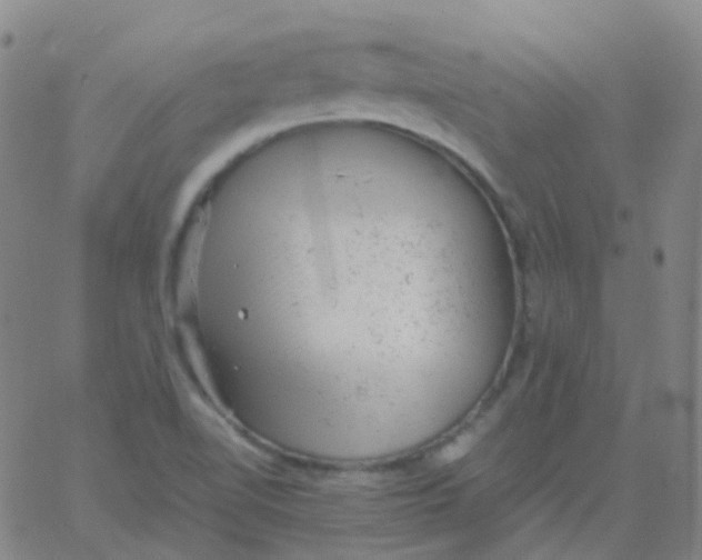 X0000061761510200512231538