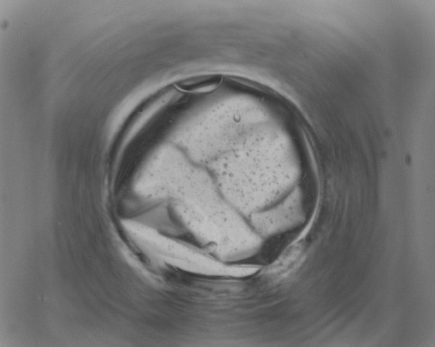 X0000061761511200512231538