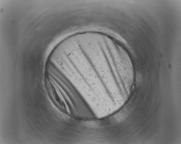 X0000061761512200512231538