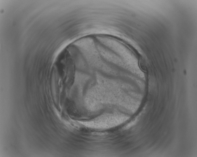 X0000061761513200512231538