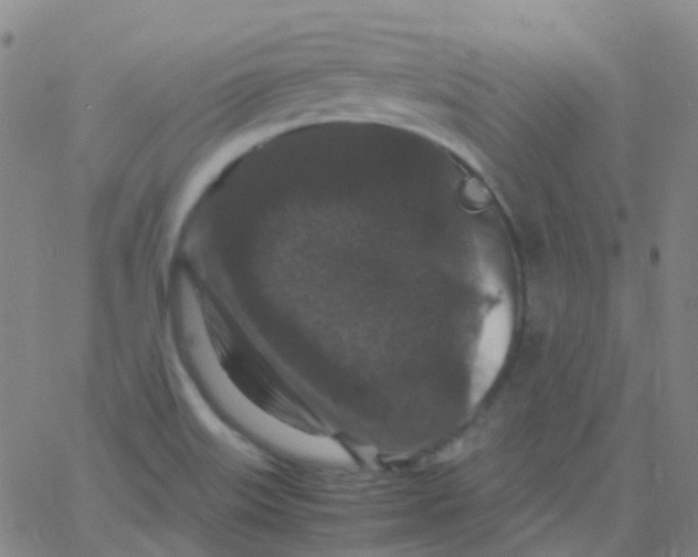 X0000061761515200512231538