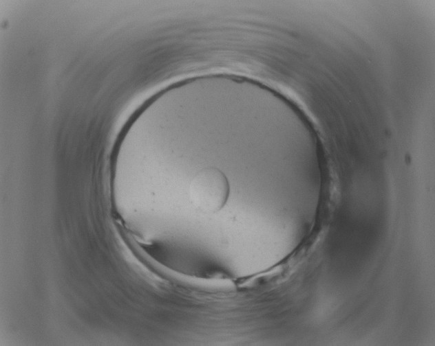 X0000061761516200512231538